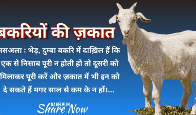 Bakriyon Ki Zakat