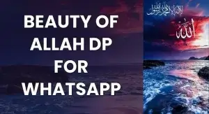 Beauty of ALLAH DP for WhatsApp