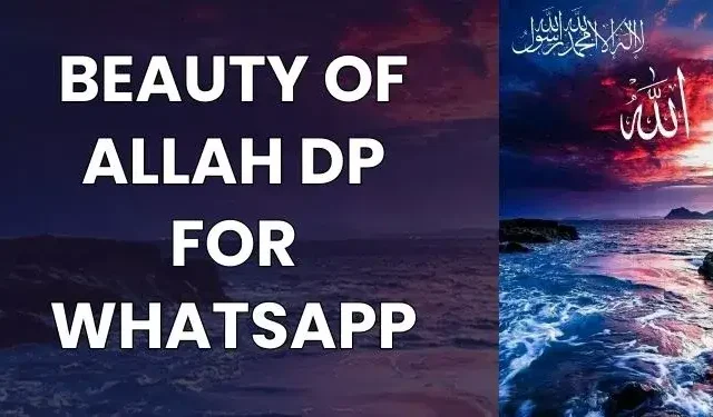 Beauty of ALLAH DP for WhatsApp